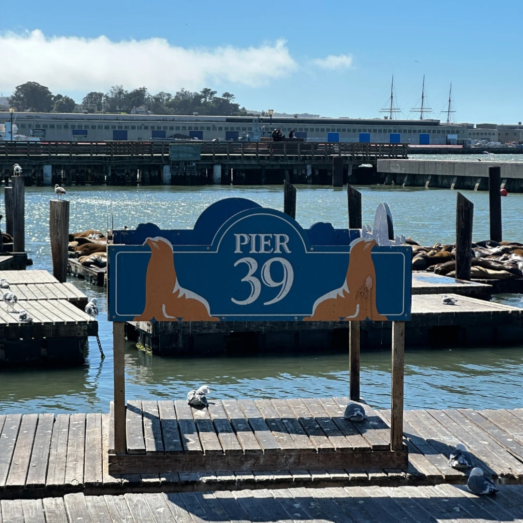 san francisco dc new york รีวิว review New Step Best Western Plus Work and Travel Rapid City South Dakota wat2024 Housekeeping ทำงานต่างประเทศ แลกเปลี่ยนวัฒนธรรม ทำงานปิดเทอม ฝึกภาษา อังกฤษ