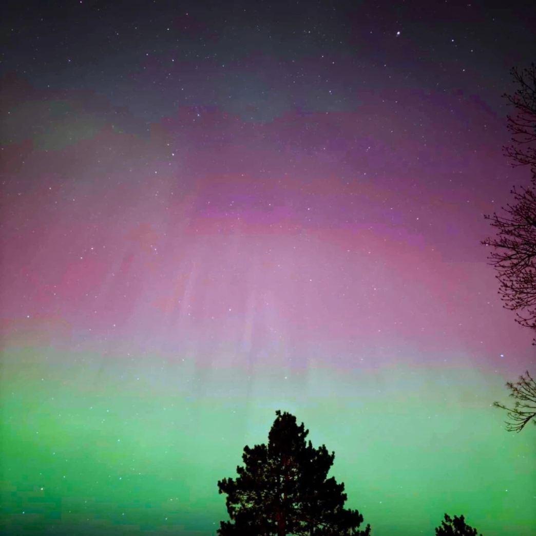 รีวิว review New Step Boyd's Mason Lake Resort Work and Travel wat 2024 Server Wisconsin สรุป ข้อดี ธรรมชาติ รักสงบ ชอยสัตว์ กิจกรรมกลางแจ้ง สวัสดิการ คืนทุน เรตดี ฝึกภาษา ใช้ภาษา คนไทยน้อย