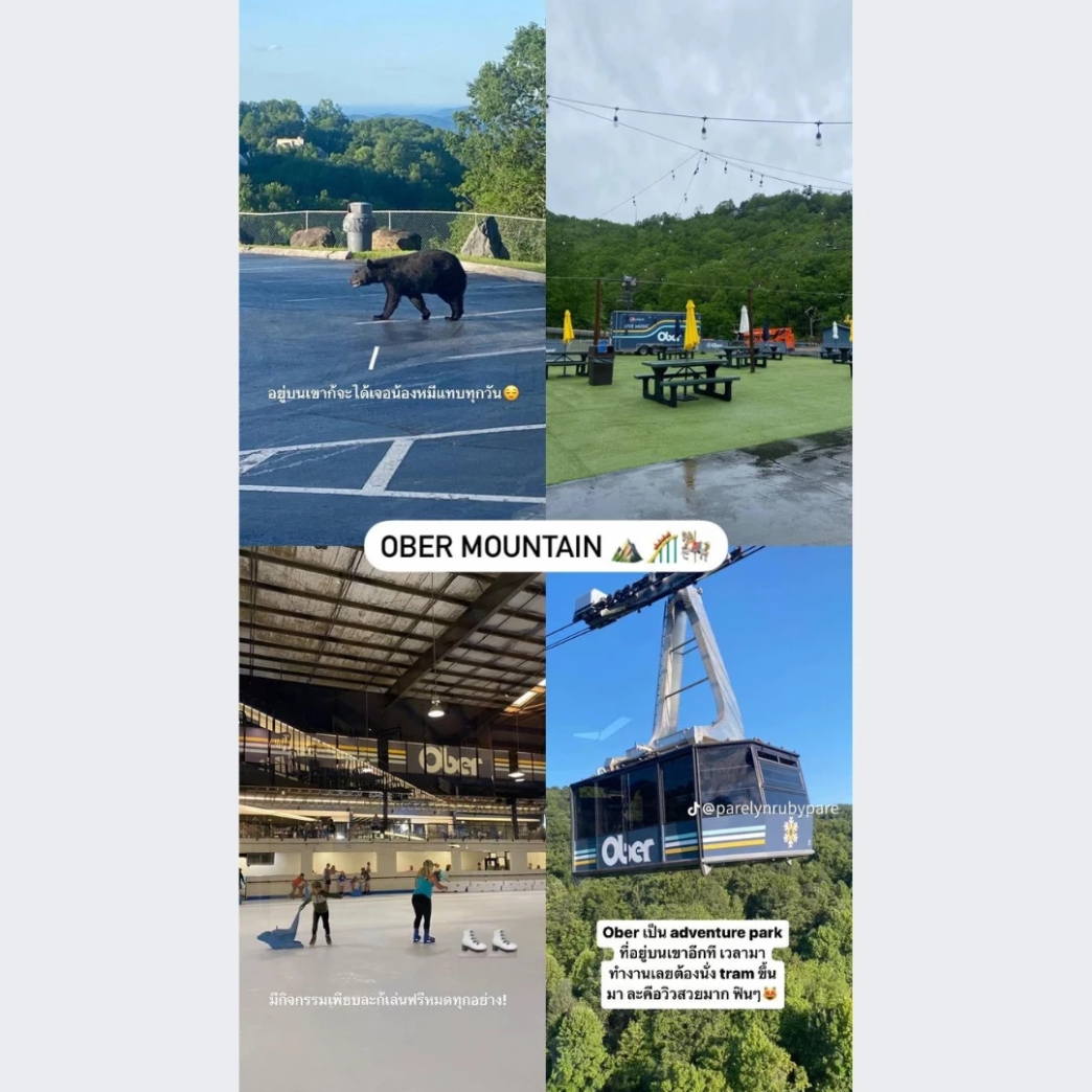 รีวิว review New Step Ober Work and Travel Gatlinburg Tennessee wat2024 Park Staff สวนสนุก Tram หมี