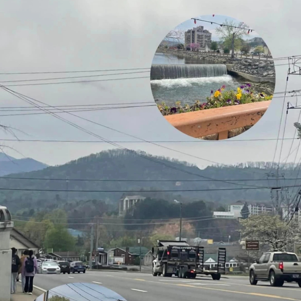 งานสอง งานเสริม second job taco bell รีวิว review New Step Dollywood Work and Travel wat 2024 Culinary Food Team Tennessee